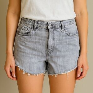 Stylish Gray Jean Shorts